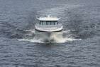 Seagull 23M