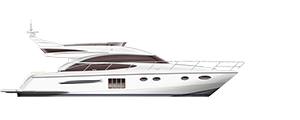 PRINCESS 60